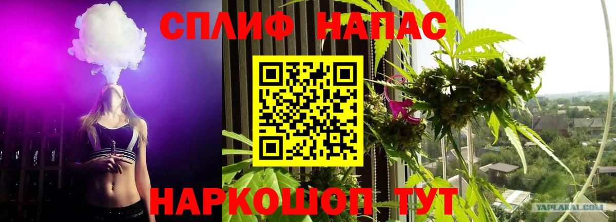Бошки Шишки тримм  Бошки Шишки индика  Фролово  Вход с VPN  Конопля Amnesia 
